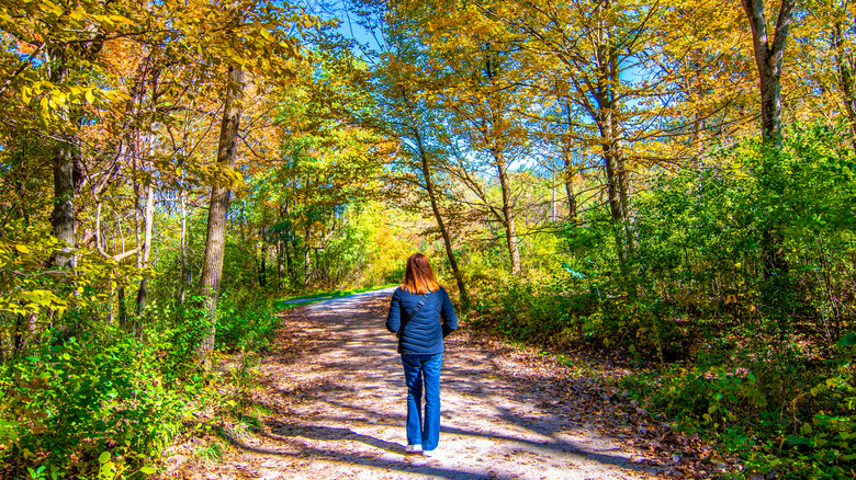 A person walking in Waterfall Glens Forest Preserve near Woodridge, IL