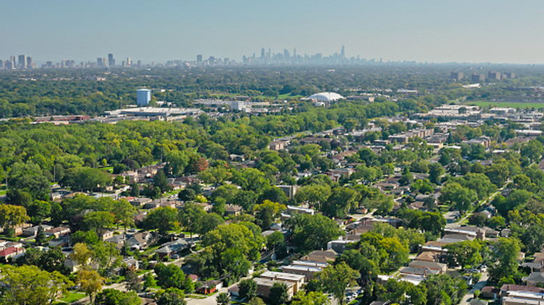 Trees and houses in a leafy suburb of Chicago.