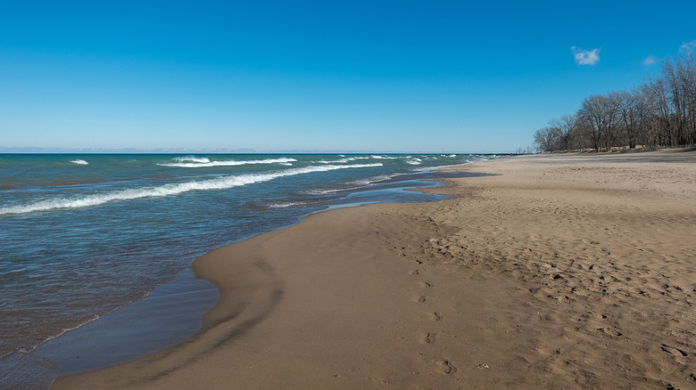 Sandy shore with bare trees in the background in Wilmette