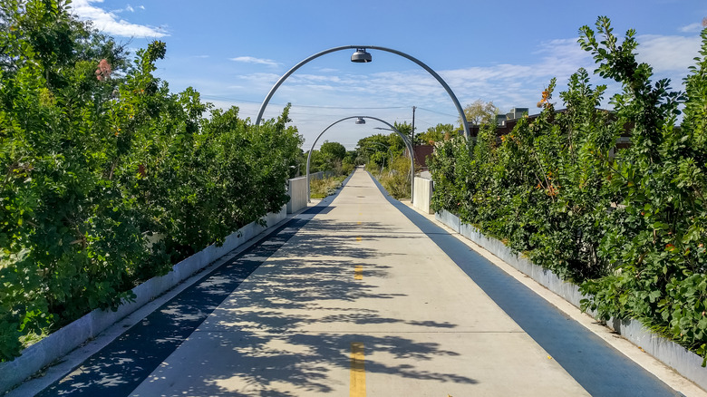 A green section of The 606 on a blue-sky day