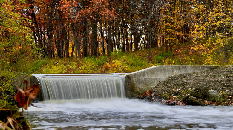 Waterfall in woodland during fall at the Morton Arboretum