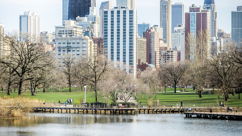 The Lakeview neighborhood skyline viewed from the park in Chicago