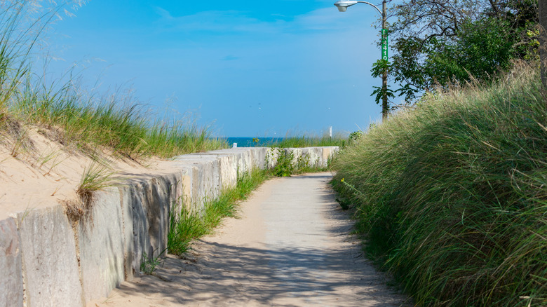 Trail along the beach at the Montrose Point Bird Sanctuary in Chicago