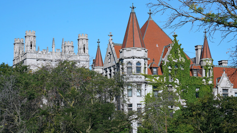 Collegiate Gothic buildings of the University of Chicago, peering out from above the trees