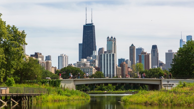 A bridge over a pond in Lincoln Park Zoo, with the Chicago skyline in the background