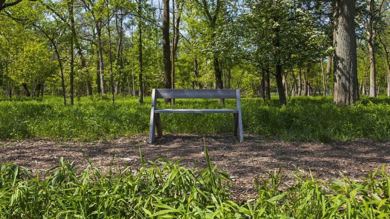 Image of a bench in North Park Village Nature Center