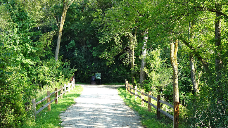 Forest preserve trail in Barrington, IL