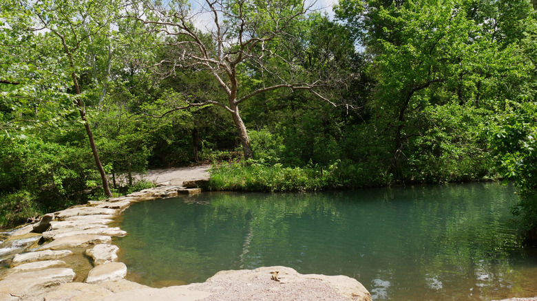A small body of water bordered by a rock path and green trees