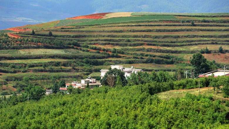 Village in the middle of terraced fields in China's Yunnan region