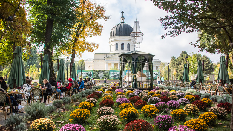 Chrysanthemums in bloom against cathedral dome background