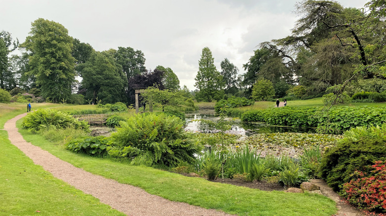 Gardens featuring a pathway and pretty pond at Cholmondeley Castle Gardens in Cheshire, England
