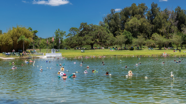 People swimming at Warm Mineral Springs Park in North Point, Florida