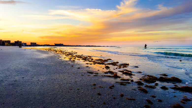 Siesta Key beach at sunset in Florida
