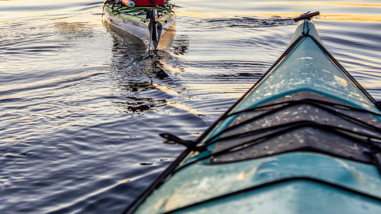 A woman kayaking along the lakeshore during a summer sunset