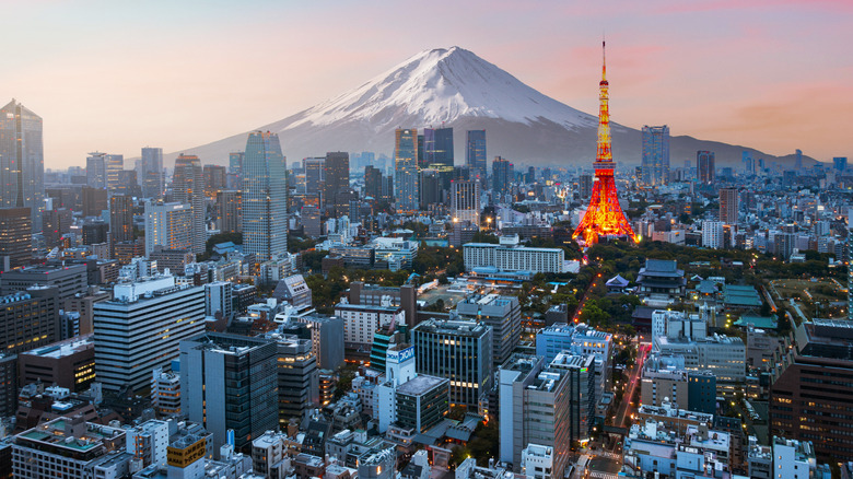 Tokyo and Mt. Fuji