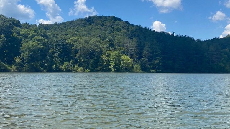 Dow Lake's calm surface glitters in the sunlight, framed by a dense forest on the far side of the lake