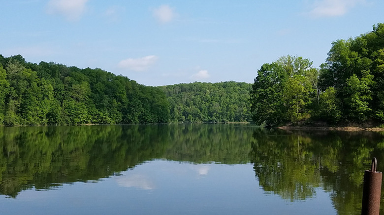 a green forest reflected in the still, calm waters of Salt Fork Lake on a clear day