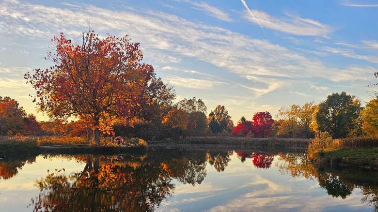 Colorful trees and water at Acacia Reservation