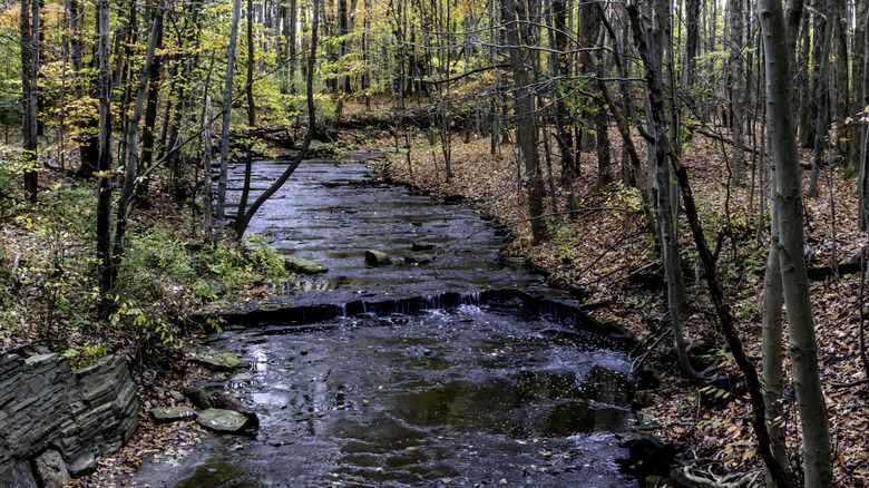 Buttermilk Falls in Willoughby, Ohio