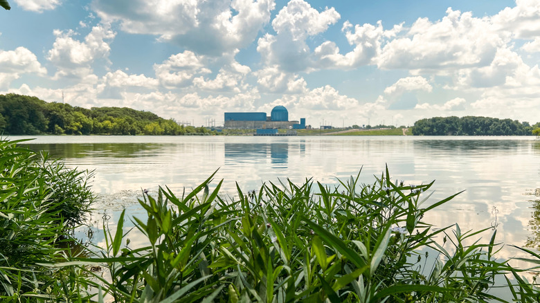 Views of a serene lake in Illinois framed by lush grass with the Clinton Power plant in the distance.