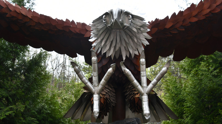 dollywood wild eagle ride
