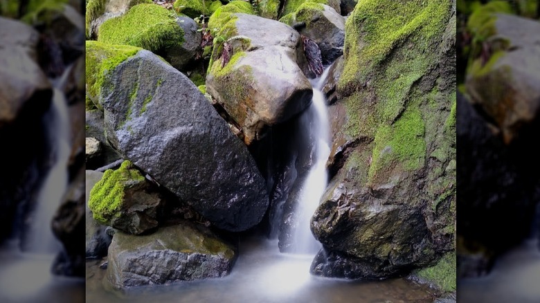 Small waterfall cascading down mossy boulders in Coal Creek Preserve, California