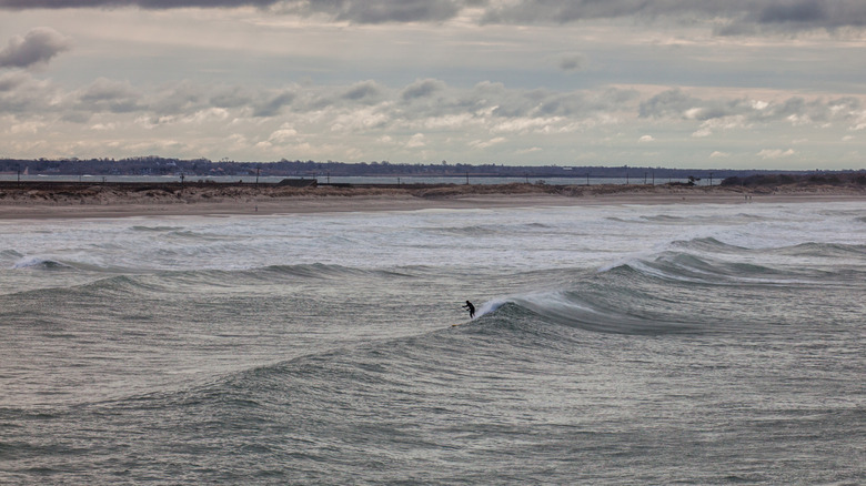Surfer on the waves at Second Beach