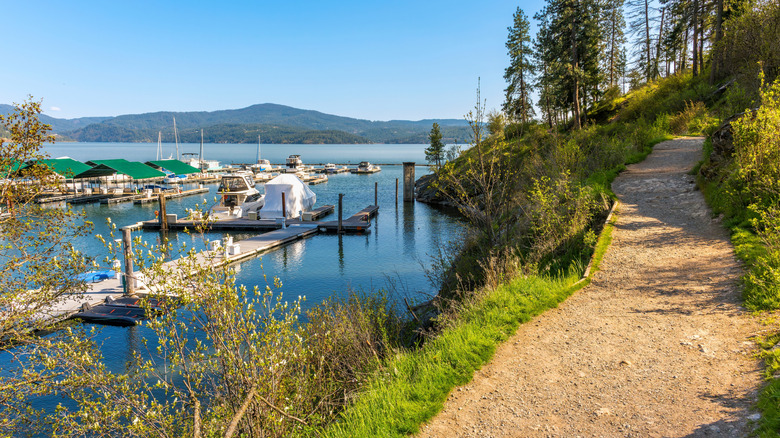 View of the Tubbs Hill trail in Coeur d'Alene