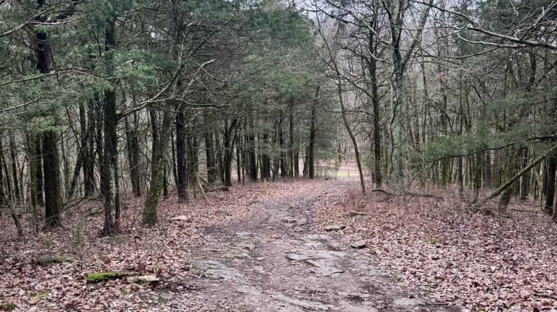 Hiking trail at Peacock Hill Nature Park