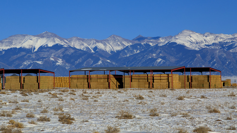 A view of the Sangre de Cristo Mountains