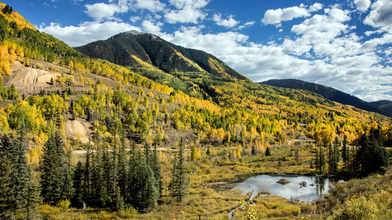 Mountain wilderness in the autumn just outside of Dolores, Colorado