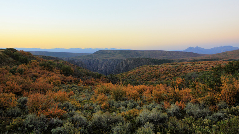 Black Canyon of the Gunnison at sunset, just northeast of Montrose, Colorado