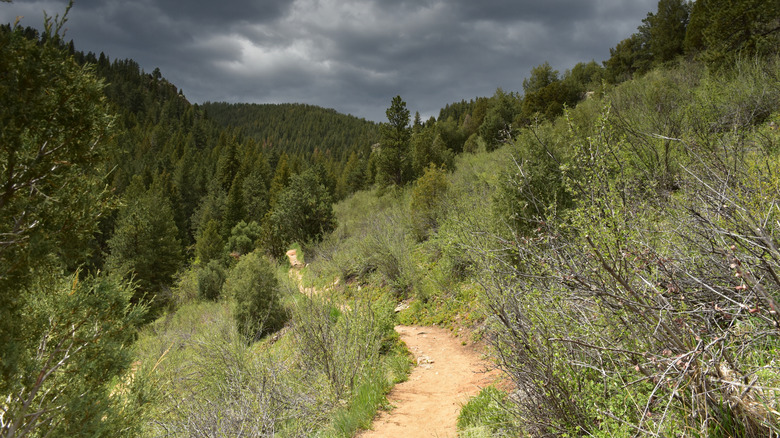 A trail in Lair o' the Bear Park in Idledale, Colorado