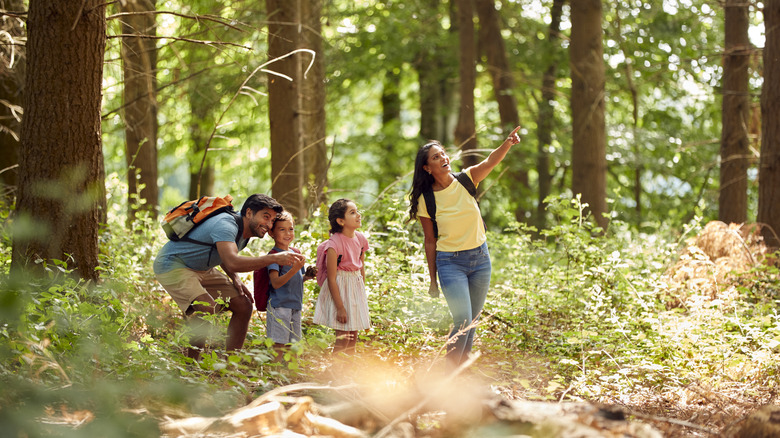 A family hiking in the woods