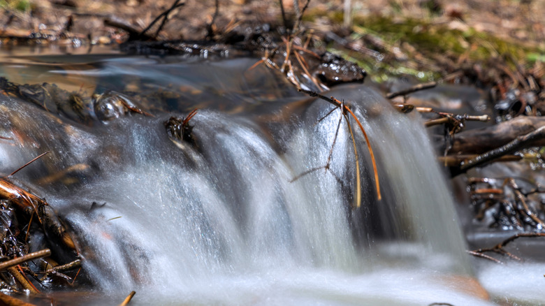 The Lower Maxwell Falls in the Arapaho National Forest, one of the hikes you can take here