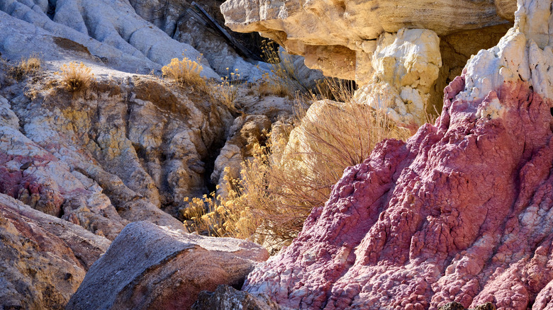 Pink and orange mounds of rock at the Paint Mines Interpretive Park