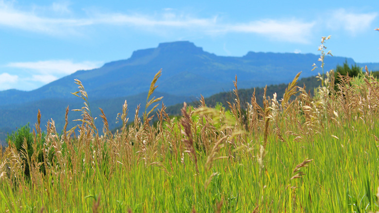 View from inside Trinidad Lake State Park
