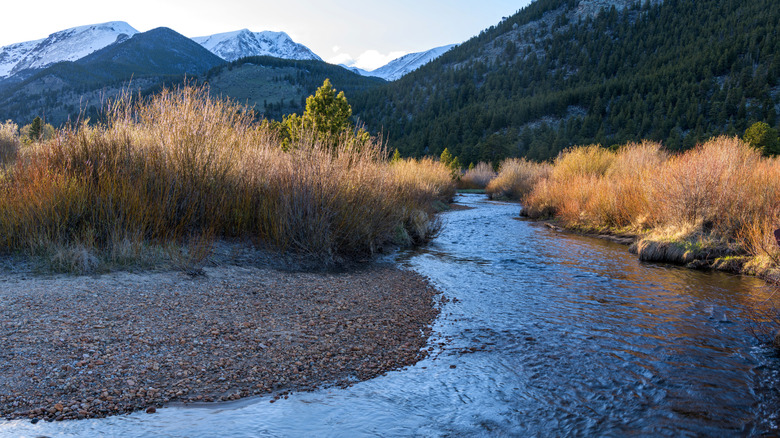 A sunset view of Fall River in Rocky Mountain National Park, Colorado