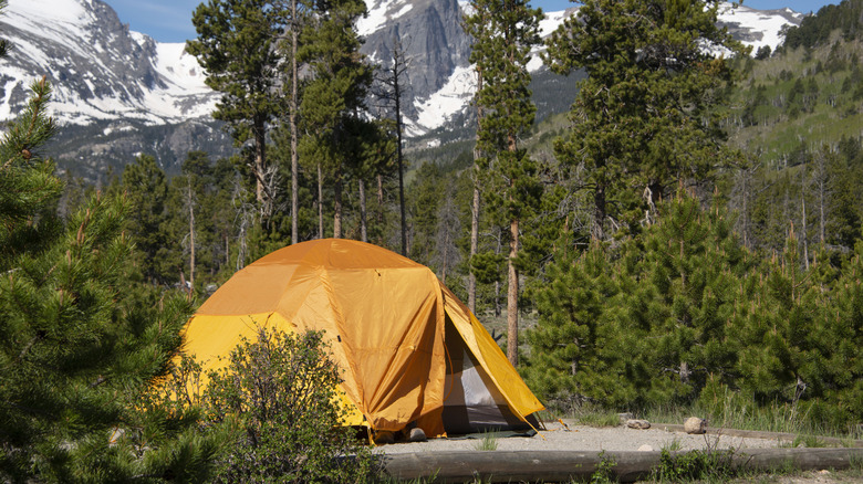 Tenting in orange tent camping with Hallet Peak and snow covered Rocky Mountains of Colorado