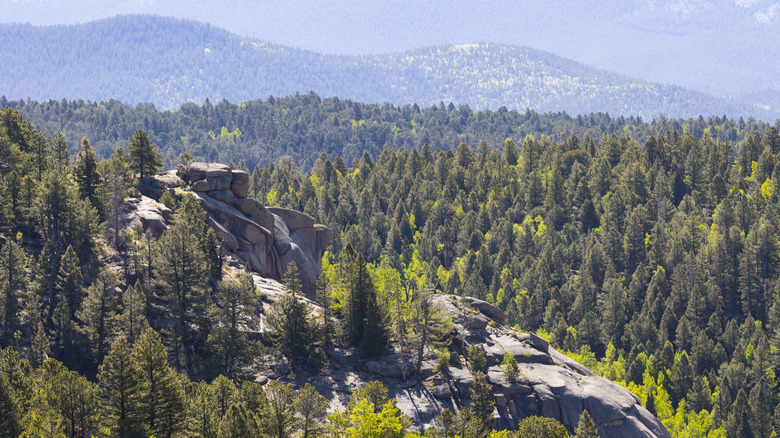 View of the Rockies from Outlook Ridge in Mueller State Park, Colorado
