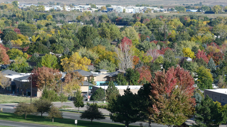 Vibrant fall leaves surround homes in the suburb of Louisville, Colorado