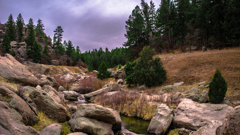 Evergreen trees and rock formations near a trail at Castlewood Canyon State Park, Colorado