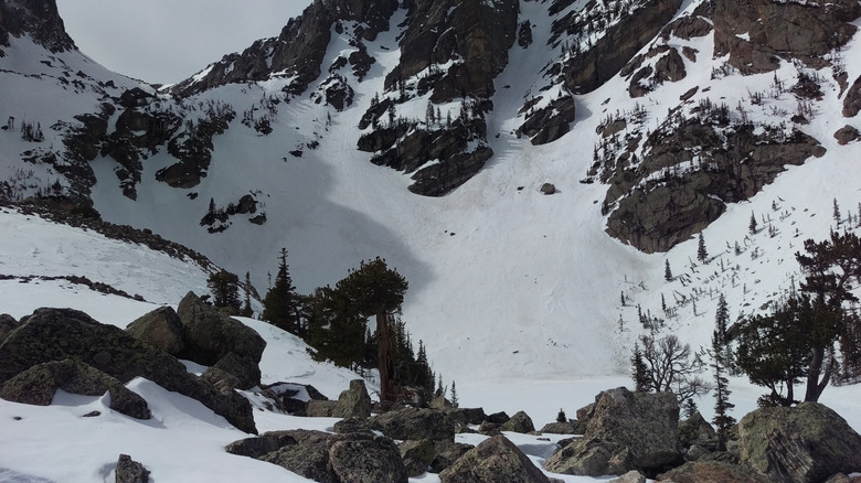 Snowy landscapes at Rocky Mountain National Park