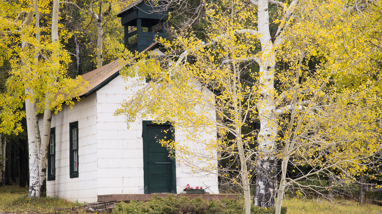 Uptop ghost town building surrounded by aspen