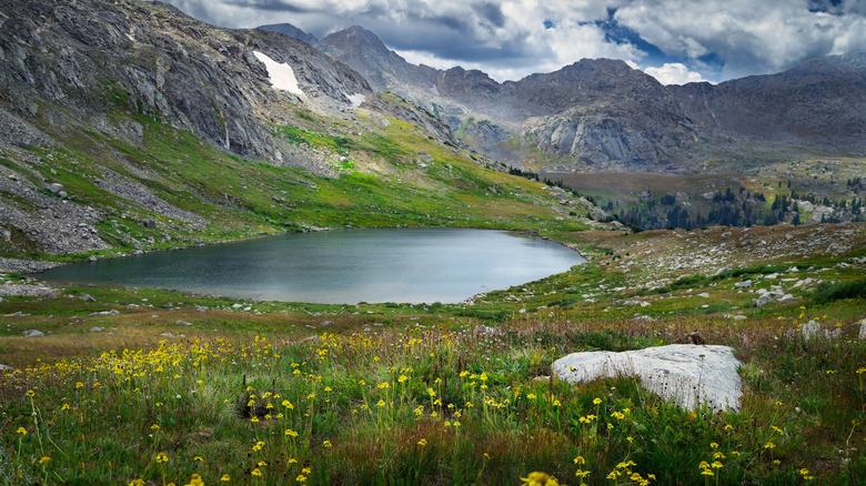 An alpine lake surrounded by grass and wildflowers with mountains in the background
