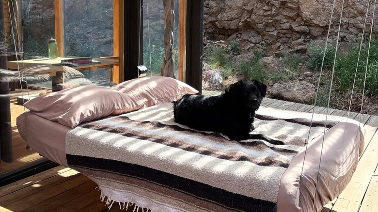 Wooden patio with a hanging outdoor bed covered by a striped blanket, a black dog lying on top, at Outside Inn Nature Hotel