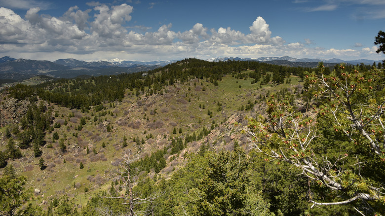 A view from the Mount Castle Trail near Morrison, Colorado