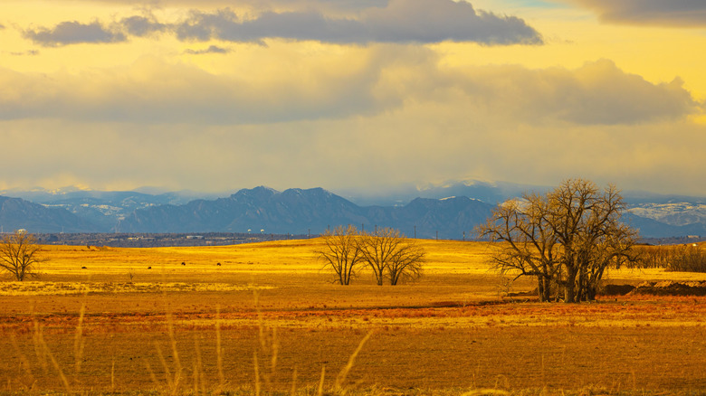 Sunset over a field and mountains outside Denver, Colorado.