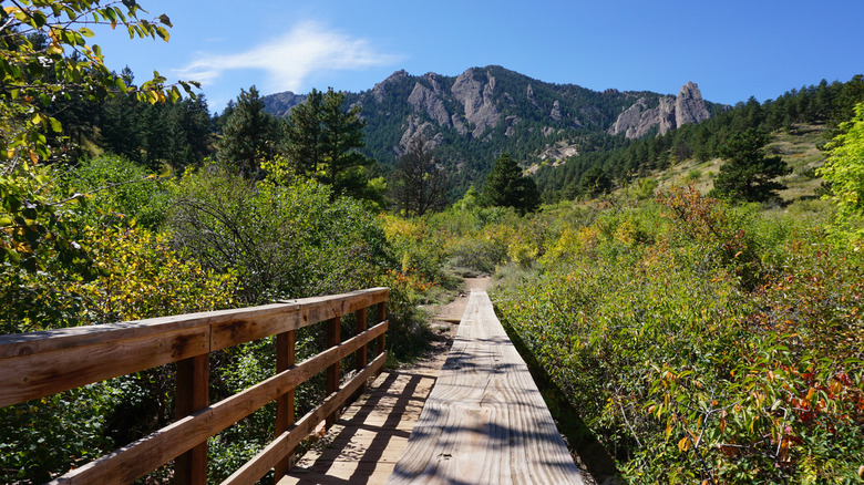 a nature trail leading to mountain near Boulder