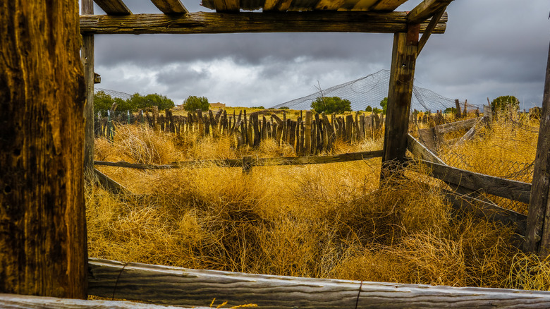 Dilapidated buildings in Colorado's Carson ghost town